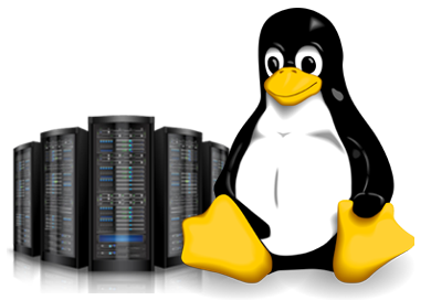 Linux Hosting PNG Image in Transparent pngteam.com