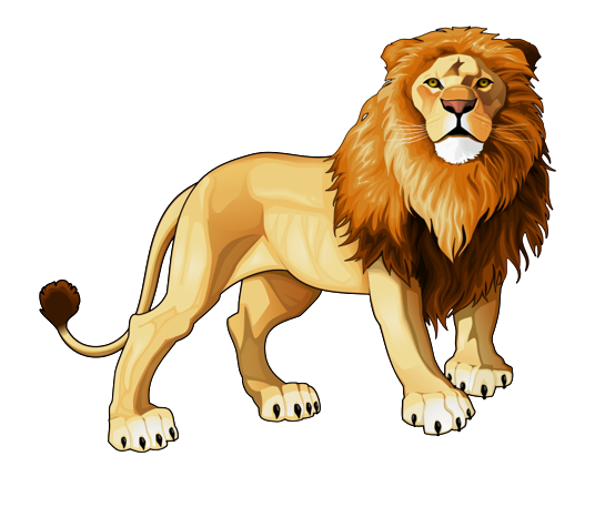 Lion PNG angry lion
