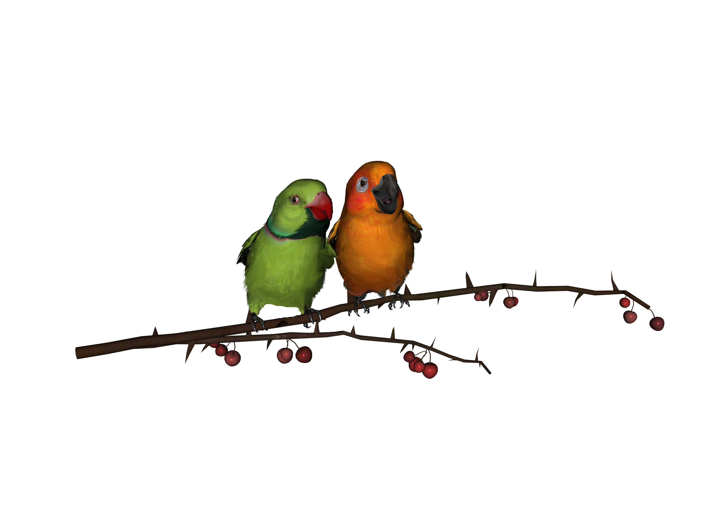 Love Birds PNG