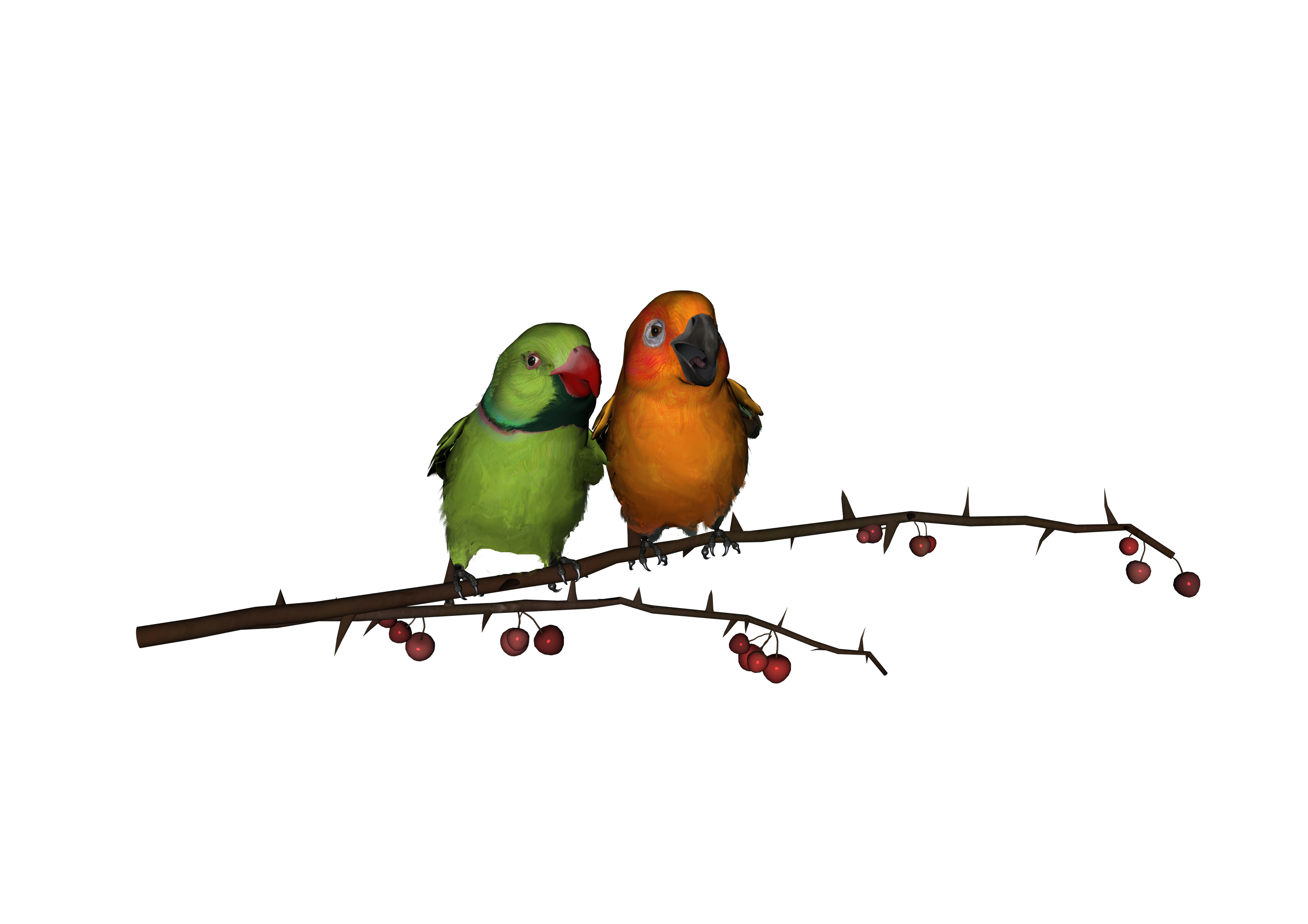 Love Birds PNG in Transparent pngteam.com