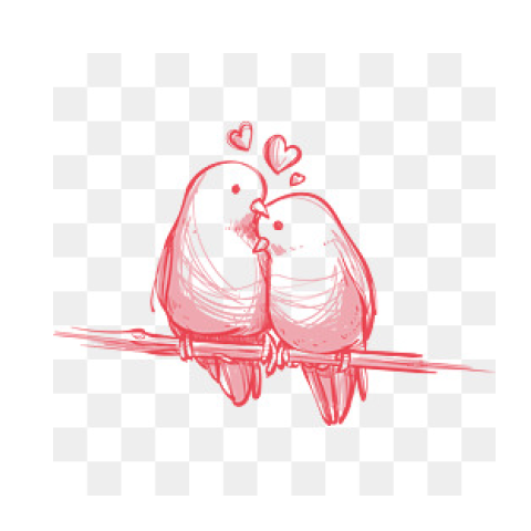 Love Birds PNG Transparent pngteam.com