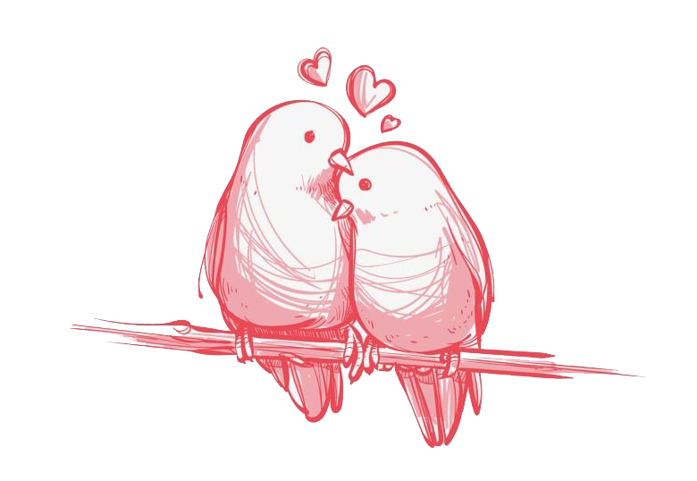 Pink Love Birds PNG HD Image pngteam.com