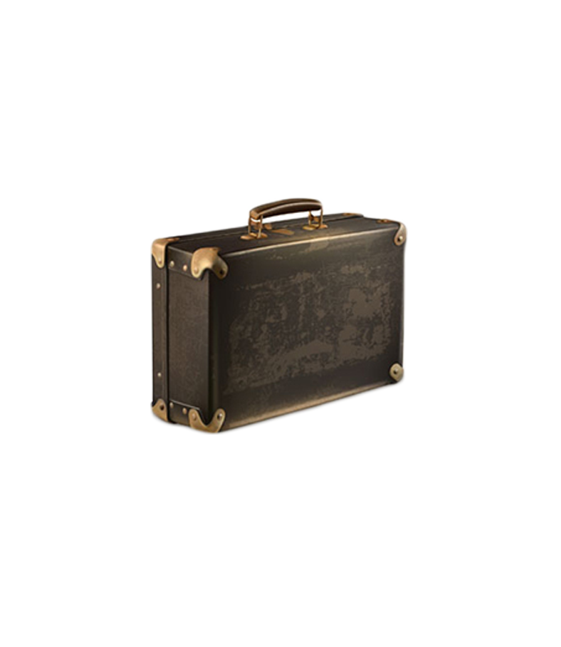 Hand Luggage PNG High Definition Photo Image