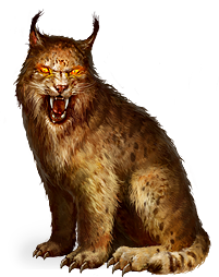 Lynx PNG HD File pngteam.com