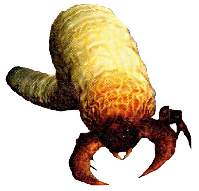 Maggot PNG Image in High Definition pngteam.com