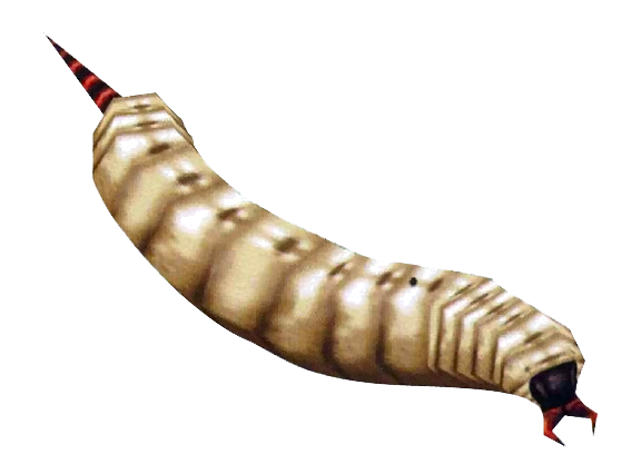 Maggot PNG Image in High Definition - Maggot Png