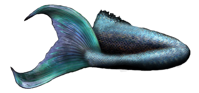 Mermaid Tail Fish PNG Best Image pngteam.com