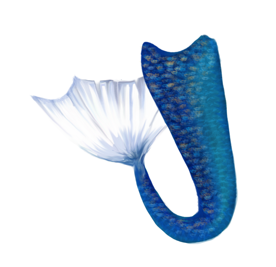 Mermaid Tail Blue and White PNG HD  pngteam.com