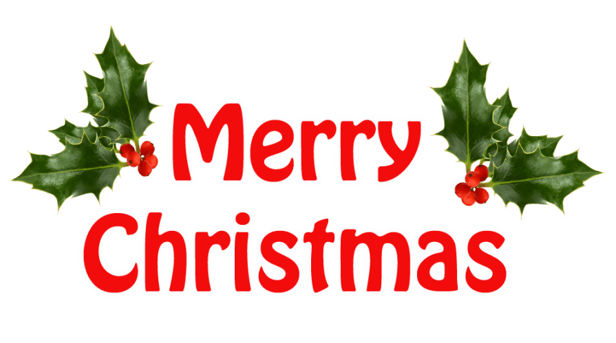 Merry Christmas Holly PNG HD Image Transparent - Merry Christmas Png