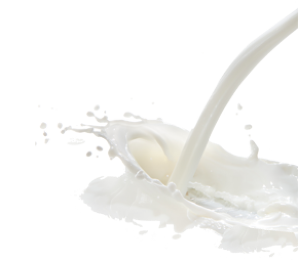 Milk PNG High Definition Photo Image - Milk Png