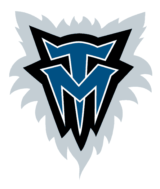 Minnesota Timberwolves Logo PNG HD Images pngteam.com
