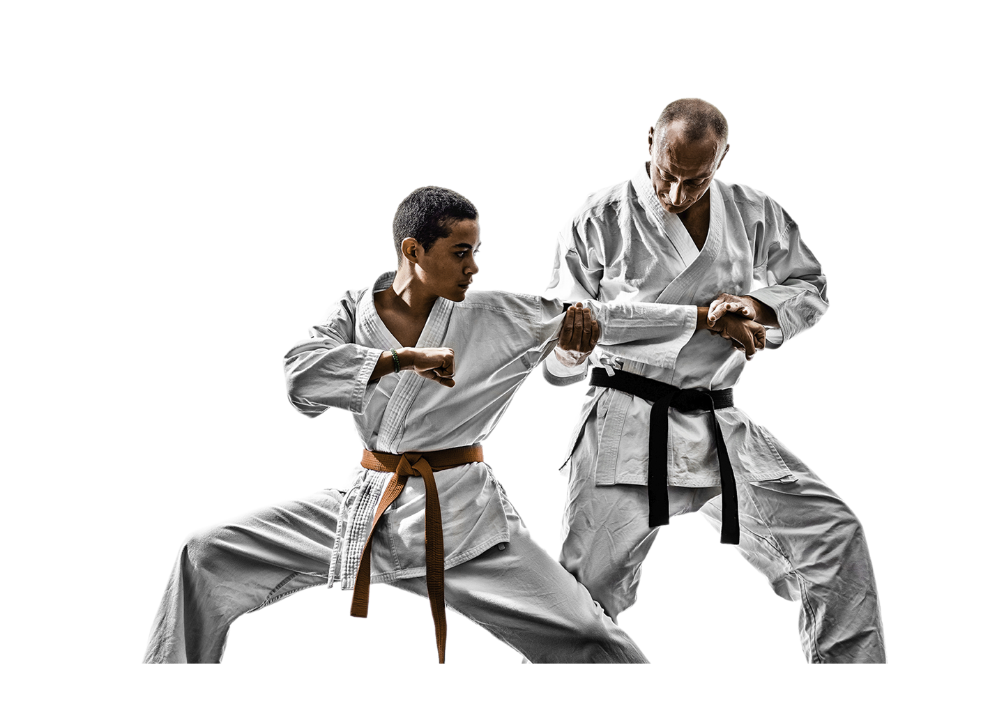 Advantages And Disadvantages Of Martial Arts