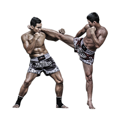 Mixed Martial Arts Mma PNG HD pngteam.com