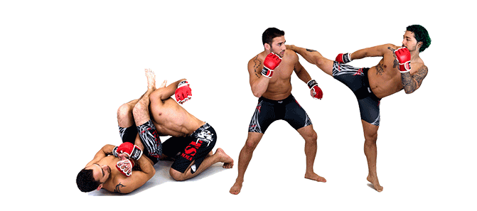 Mixed Martial Arts Mma PNG HD and Transparent pngteam.com