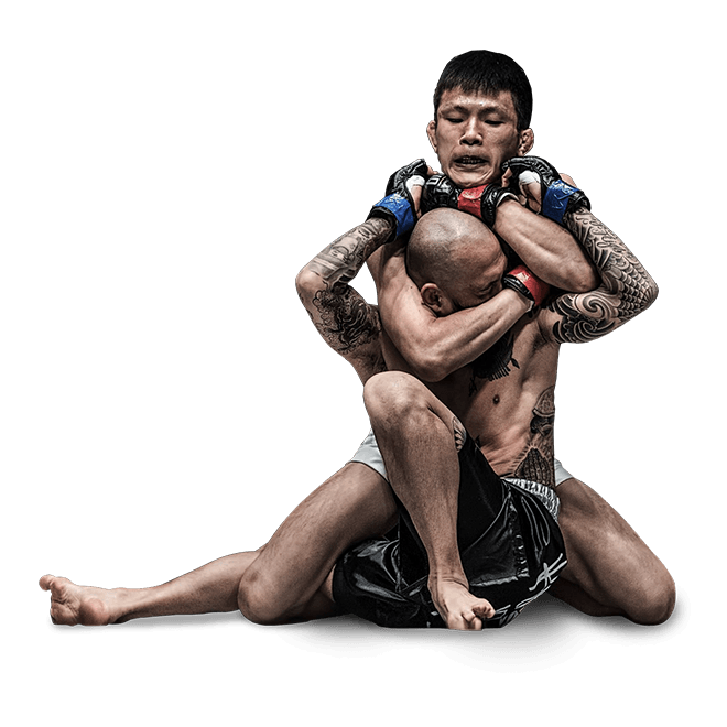 Mixed Martial Arts Mma PNG HD and HQ Image pngteam.com