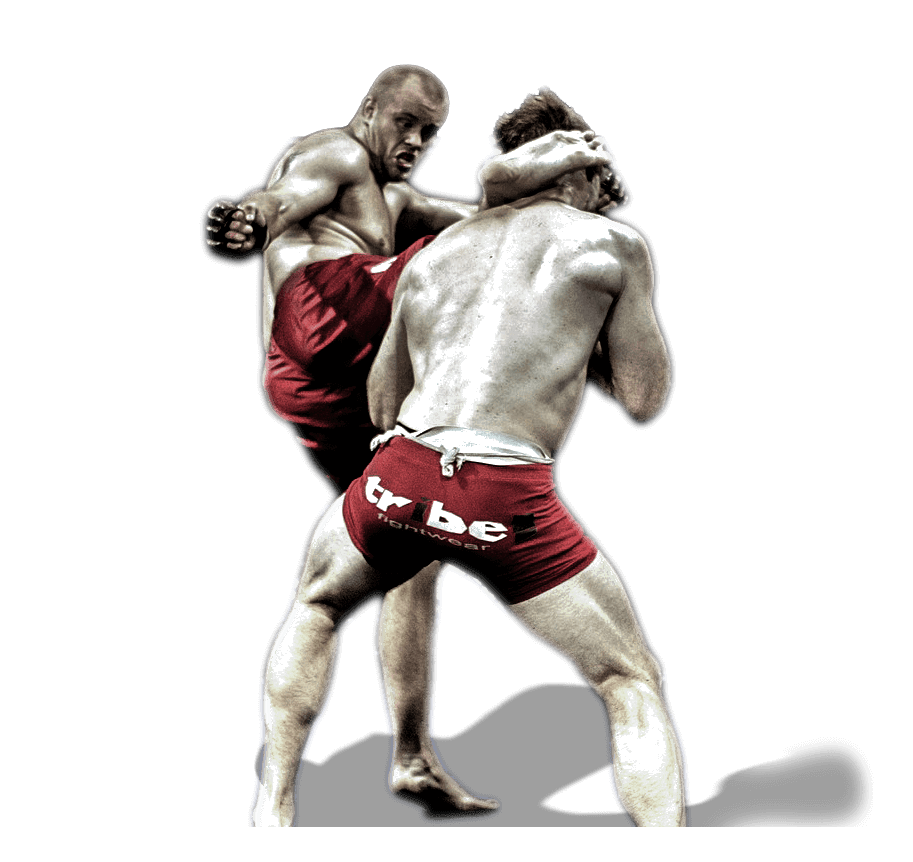 Mixed Martial Arts Mma PNG