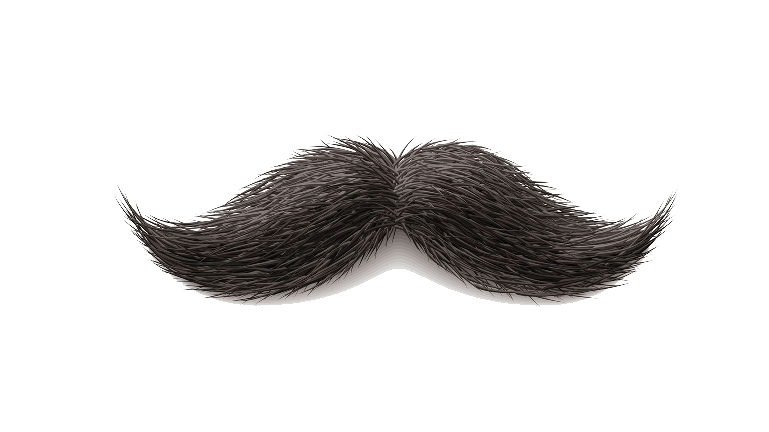 Moustache PNG File pngteam.com