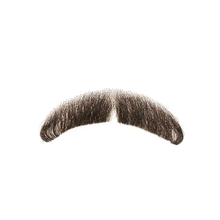 Moustache Brown PNG pngteam.com
