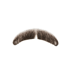 Moustache Brown PNG