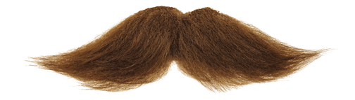 Brown Moustache PNG Picture