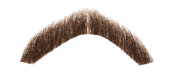Moustache PNG in Transparent pngteam.com