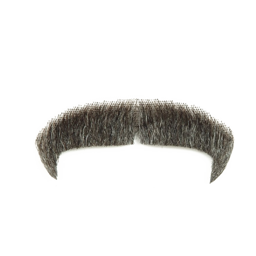 Moustache PNG Picture pngteam.com