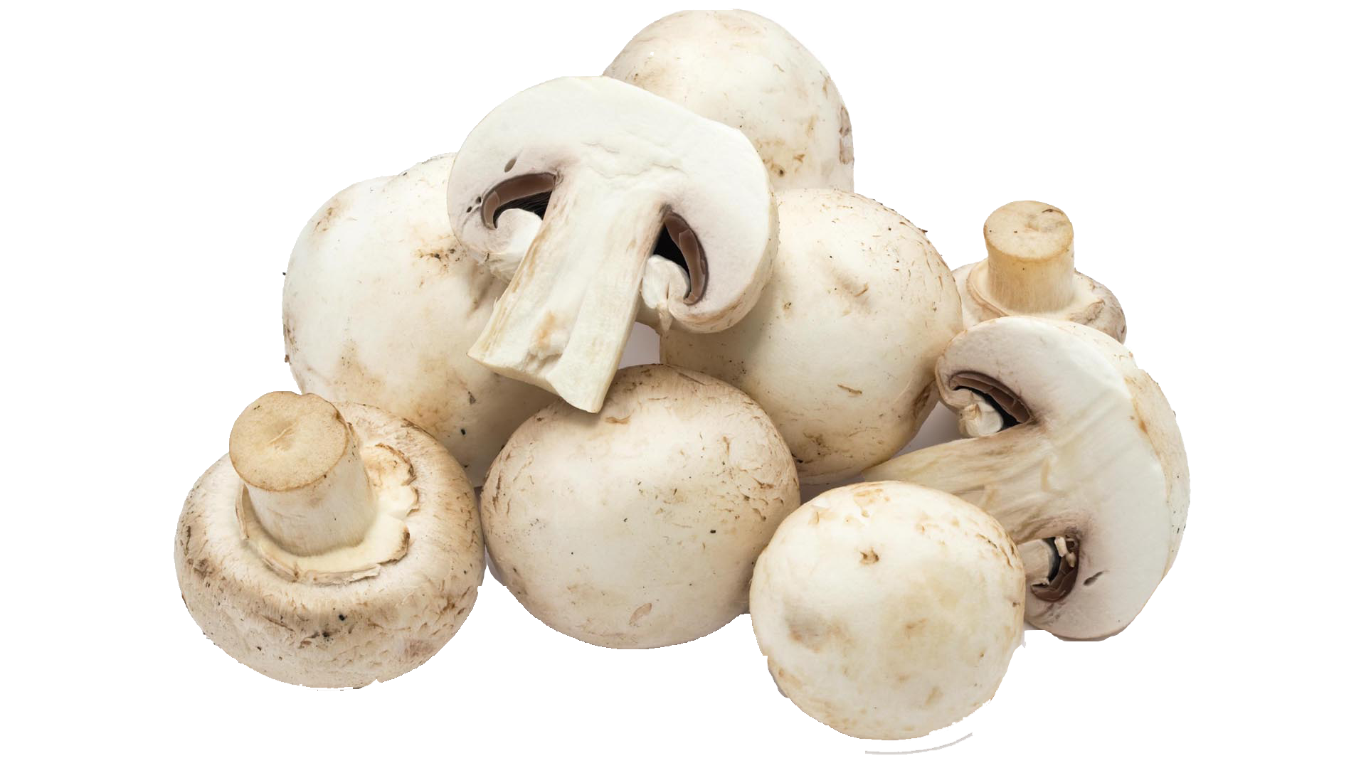 Mushroom PNG Image in Transparent pngteam.com