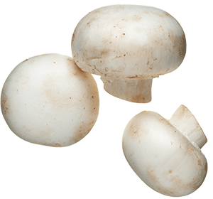 Mushroom PNG HQ pngteam.com