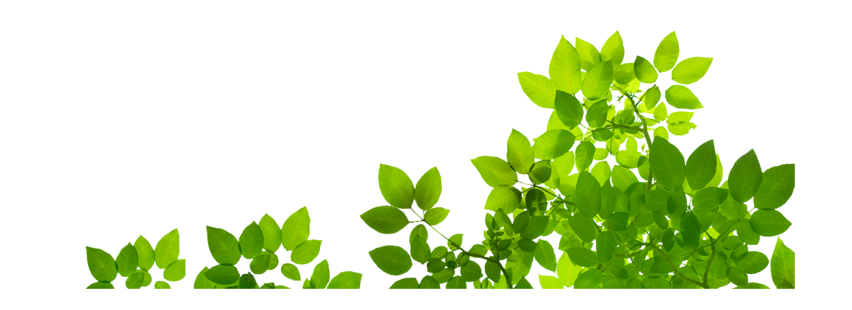 Nature Png Transparent Background Images