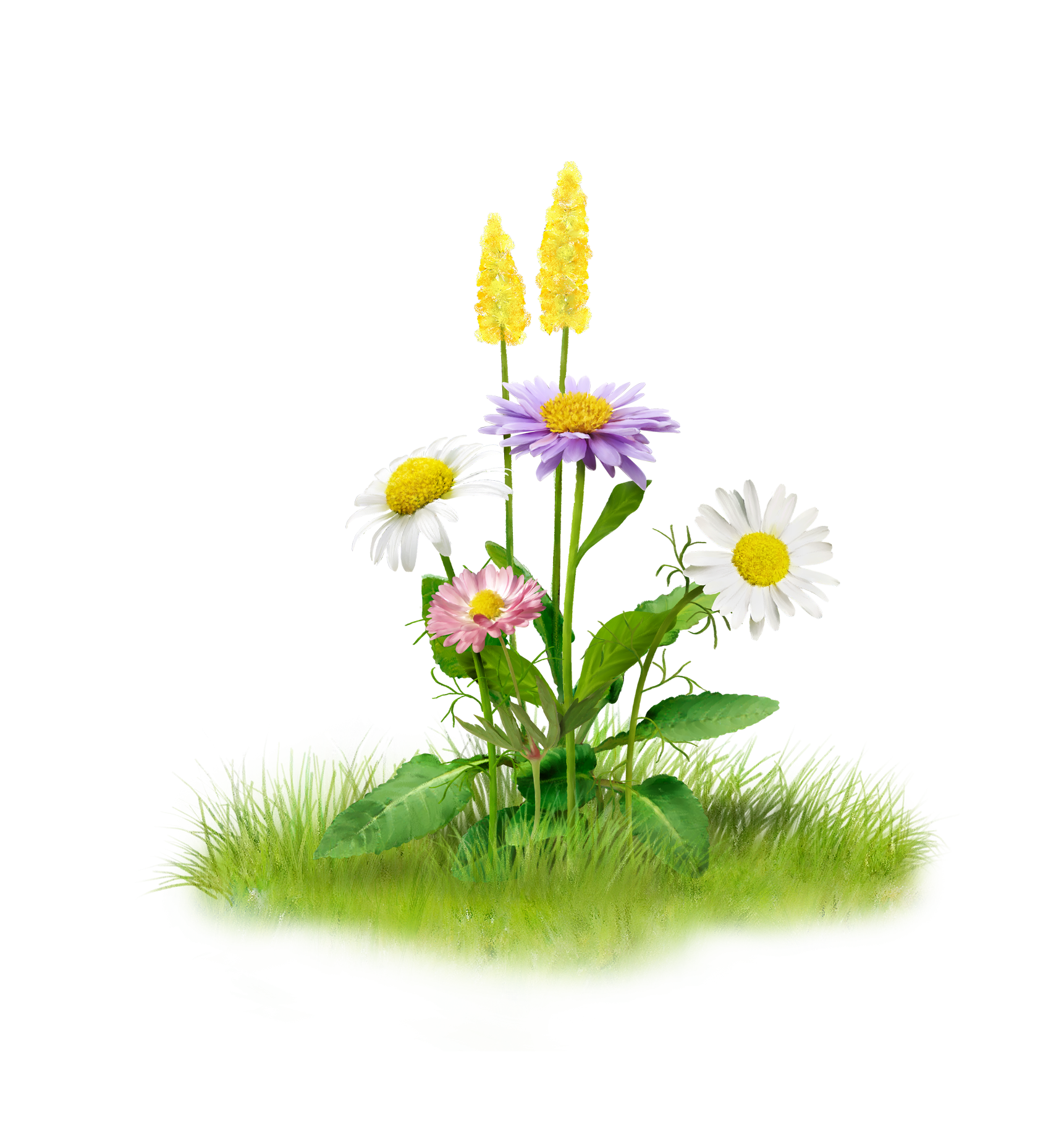 Nature Flowers PNG HQ Image - Nature Png