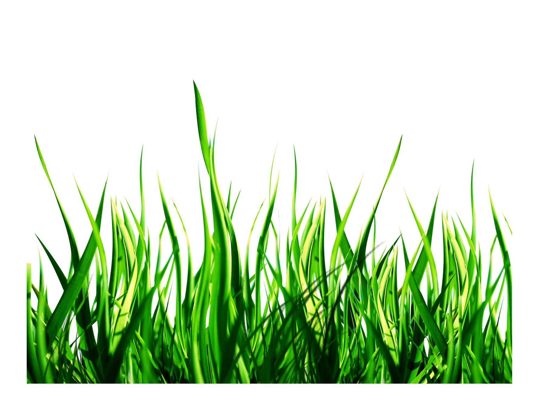 Green Nature PNG HQ Image Transparent - Nature Png