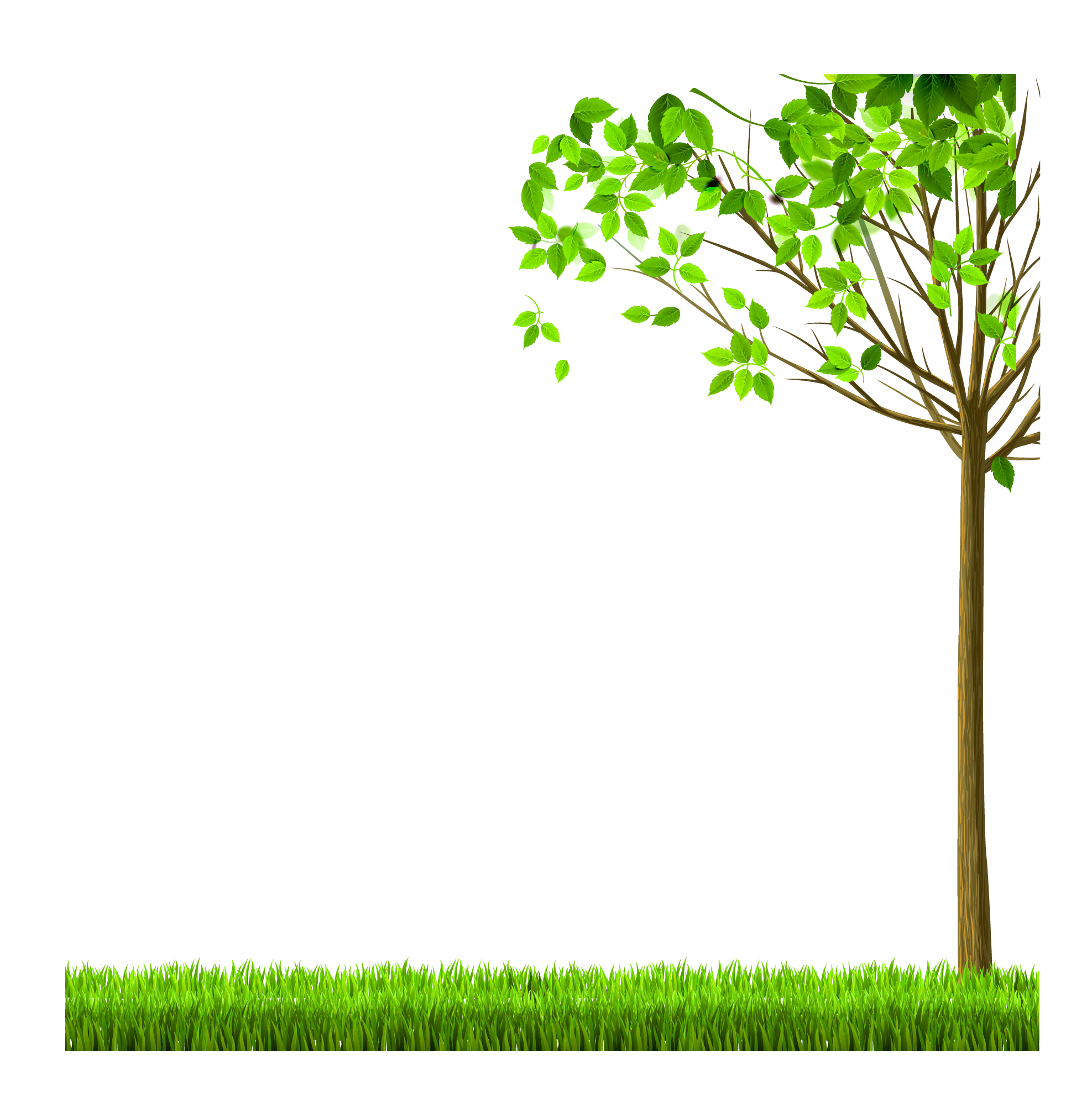 Nature PNG HD Tree