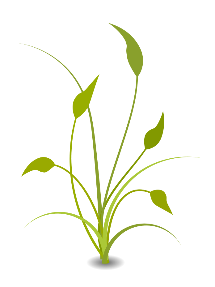 Nature Plant PNG HQ Image - Nature Png