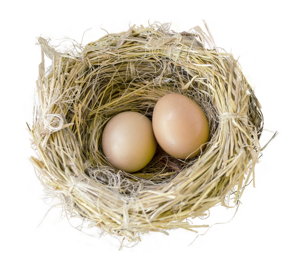 Nest PNG Picture pngteam.com