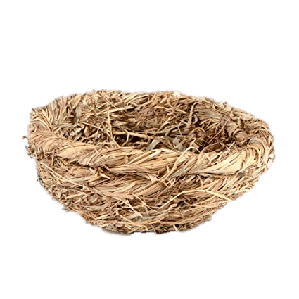 Nest PNG HD pngteam.com