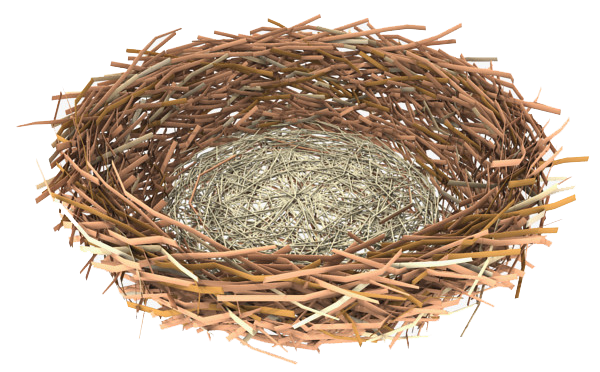 Nest PNG Transparent pngteam.com