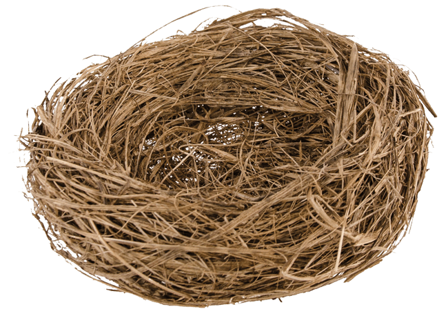 Nest PNG Picture pngteam.com