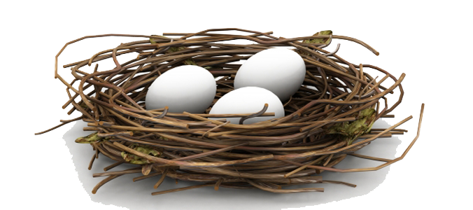 Nest PNG Image in High Definition pngteam.com