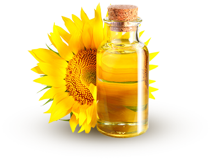 Sunflower Oil PNG Images pngteam.com