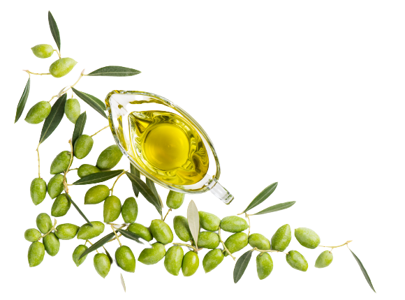 Olive Oil PNG HD Picture - Olive Oil Png