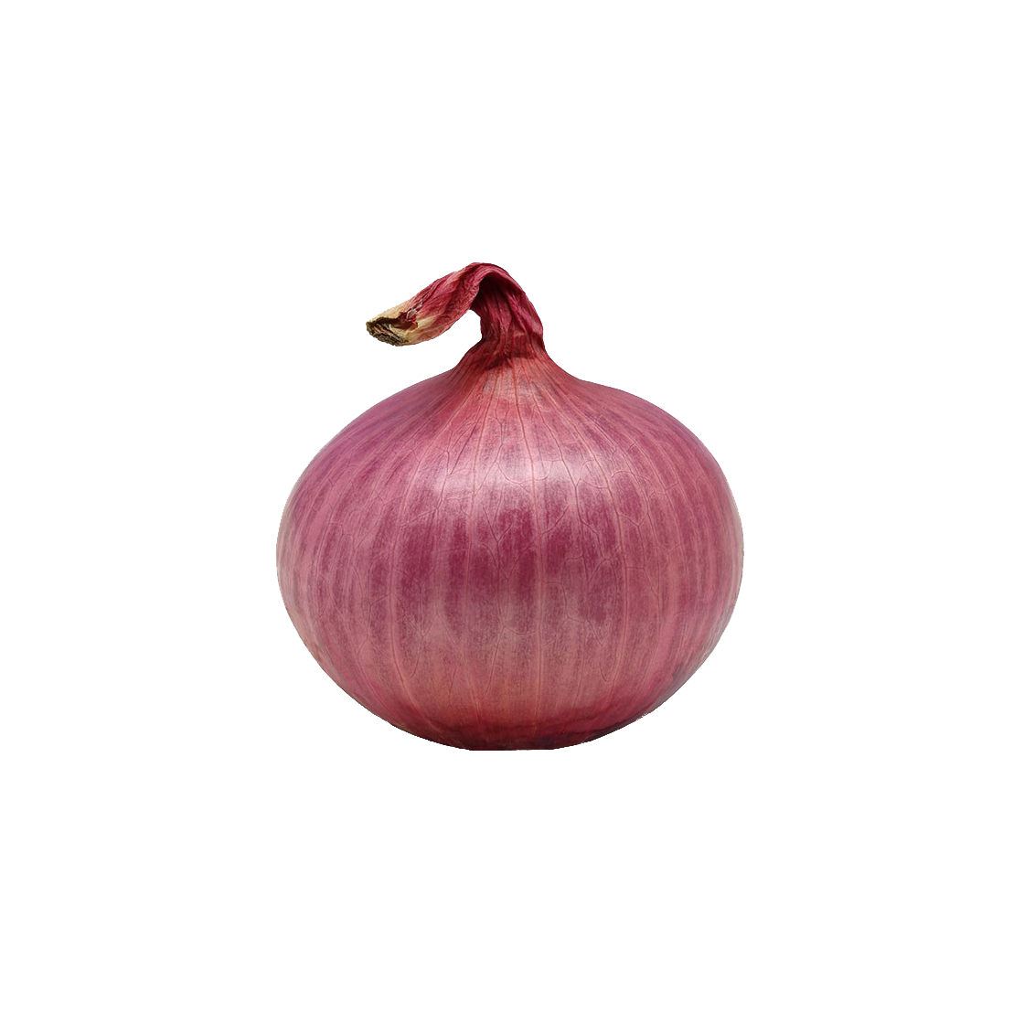 Onion PNG HQ pngteam.com