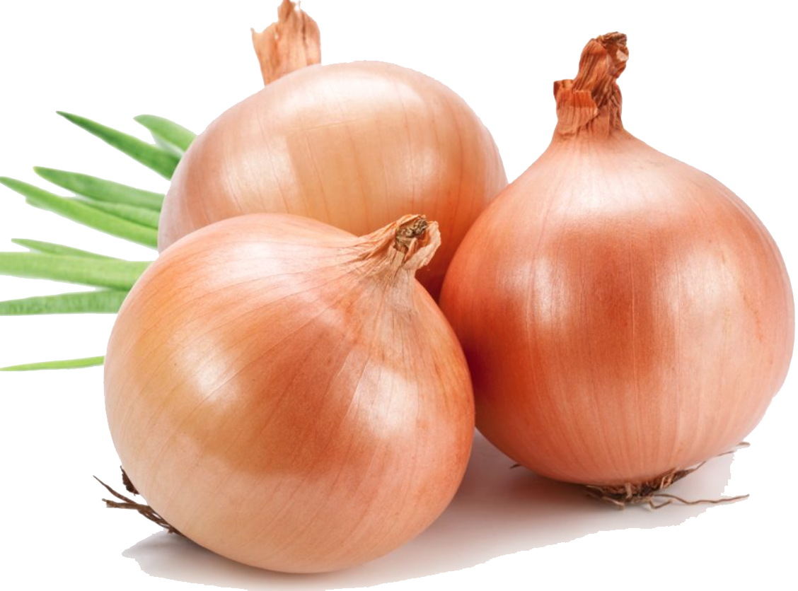 Onion PNG HD