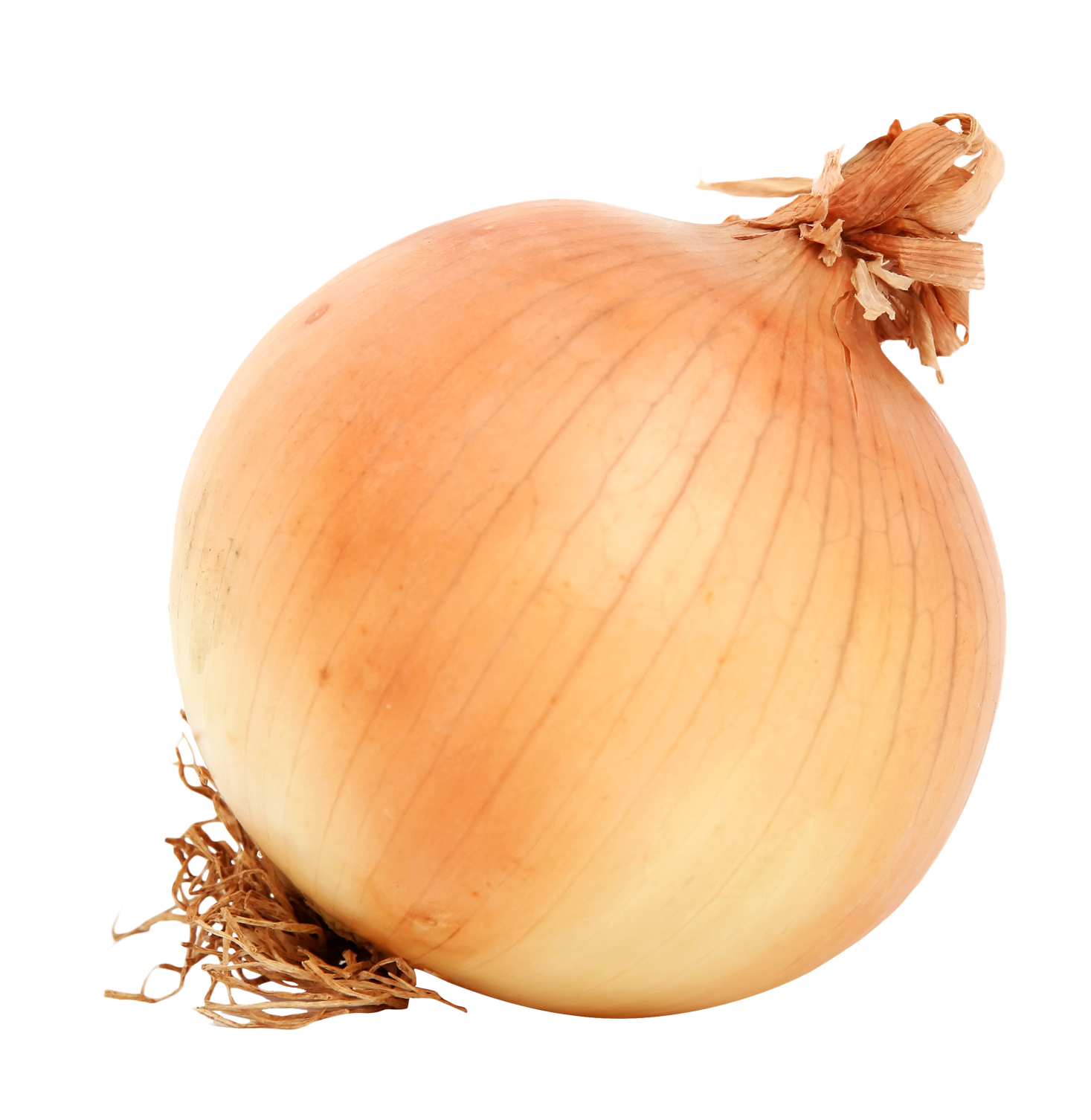 Onion PNG HD - Onion Png