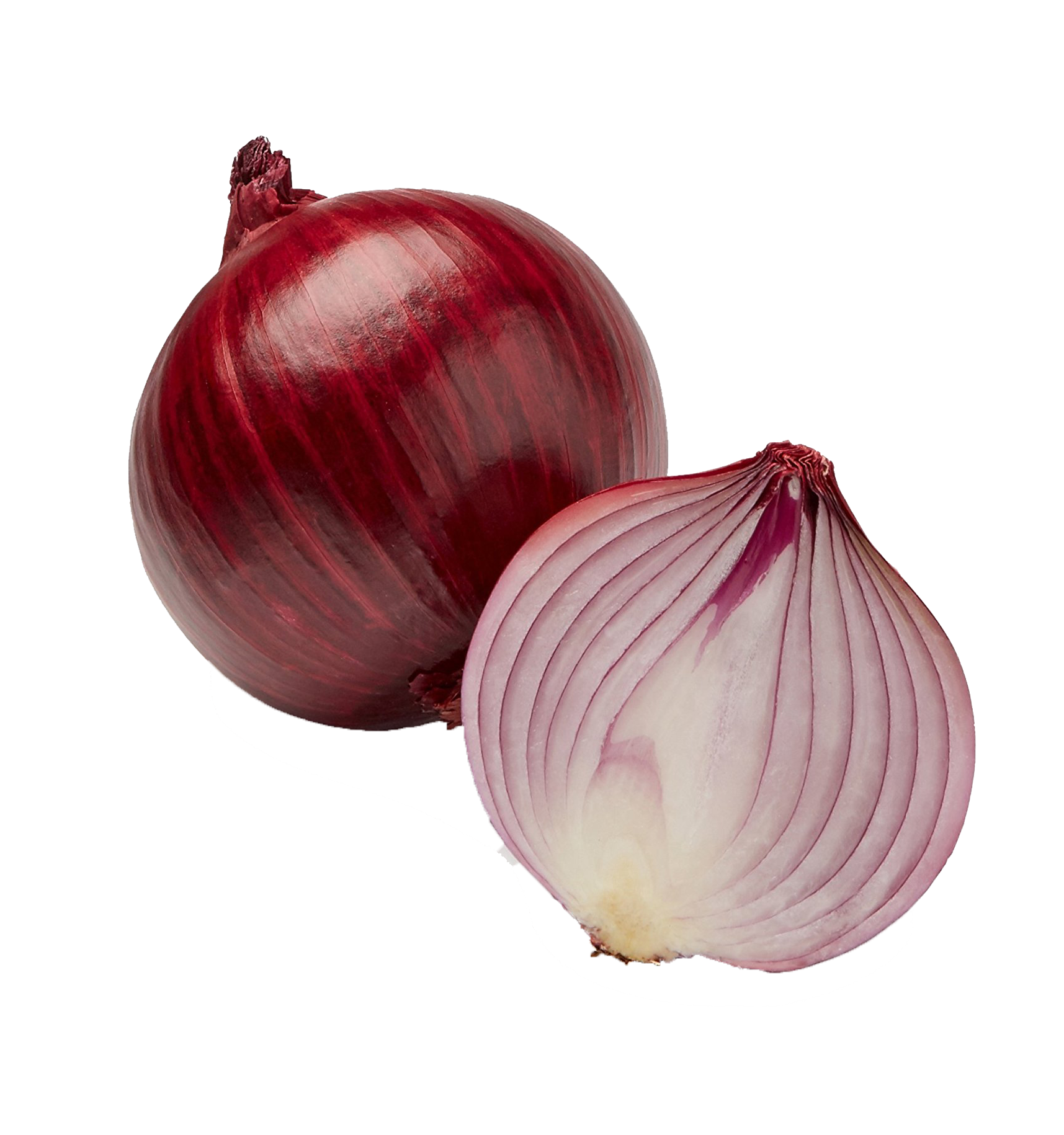 Onion PNG High Definition Photo Image pngteam.com