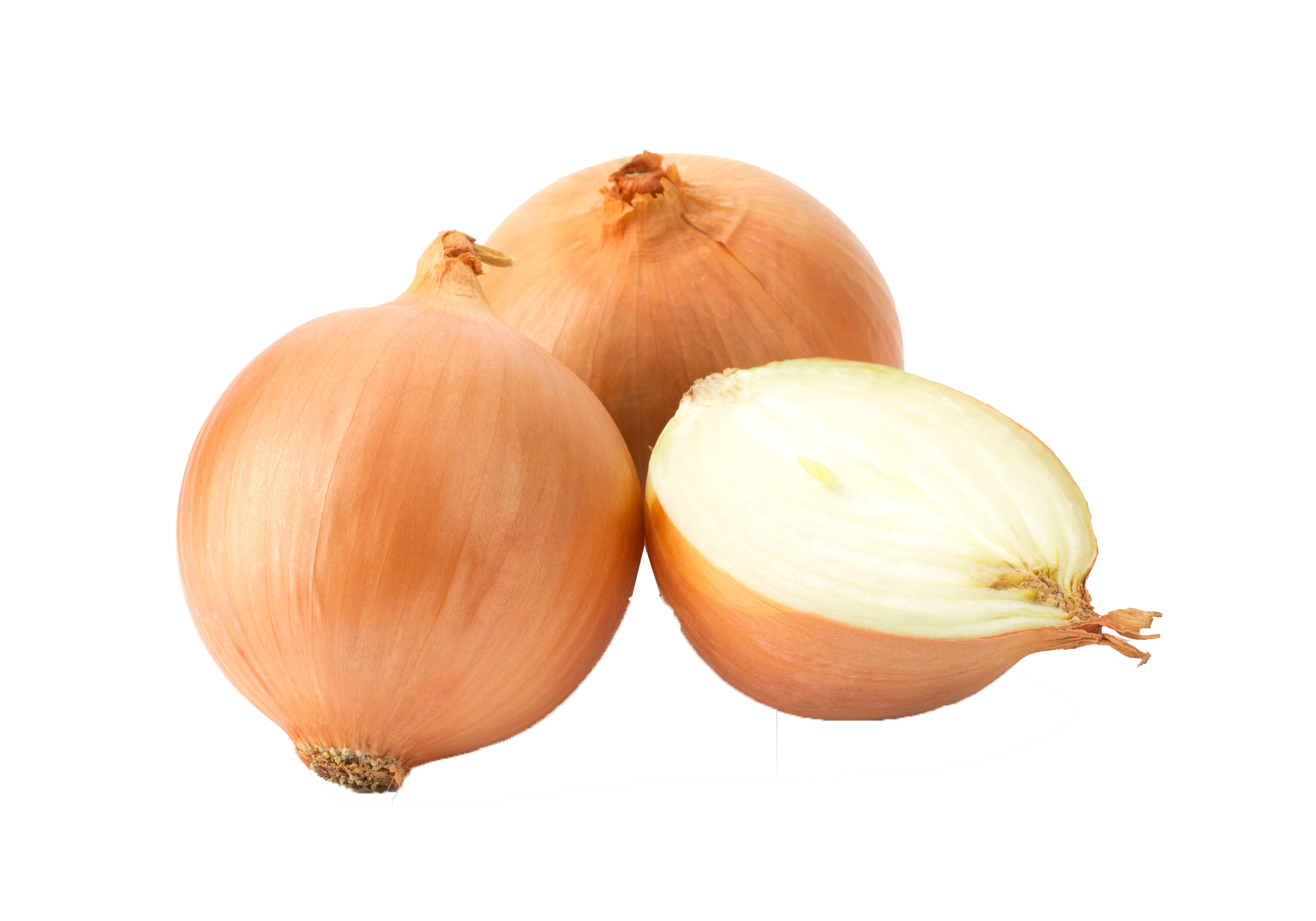 Onion PNG Best Image pngteam.com