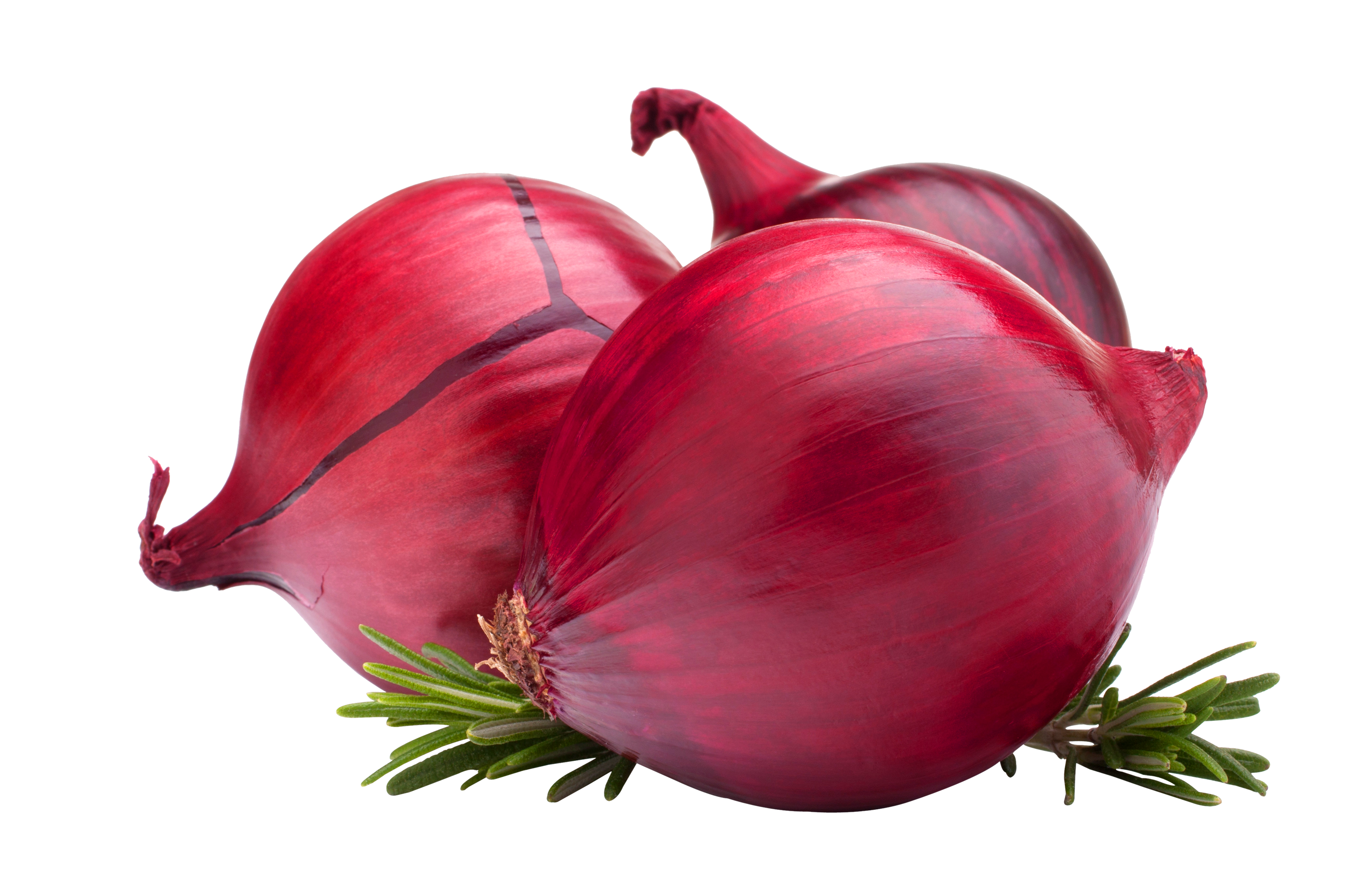 Onion PNG HD and Transparent pngteam.com