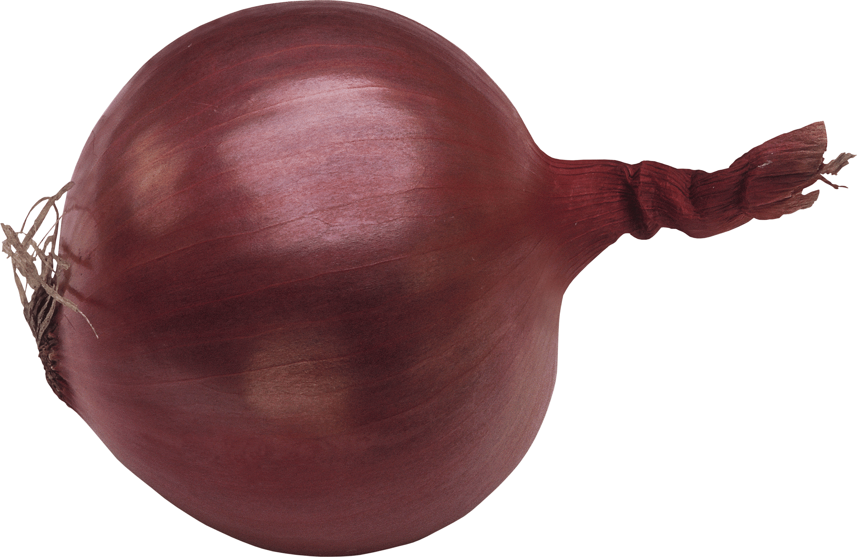 Onion PNG Photo pngteam.com