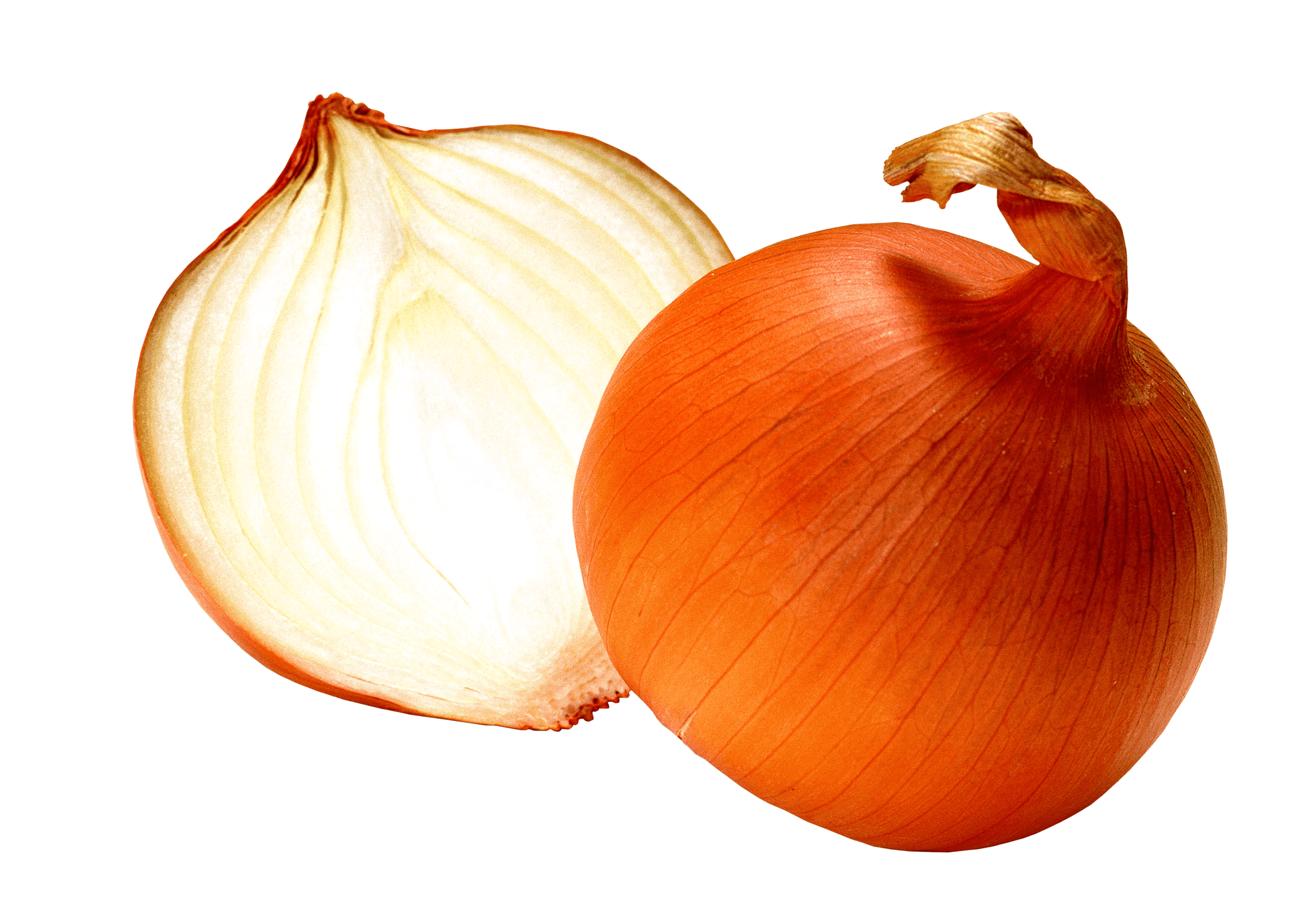 Piece of Onion PNG Images pngteam.com