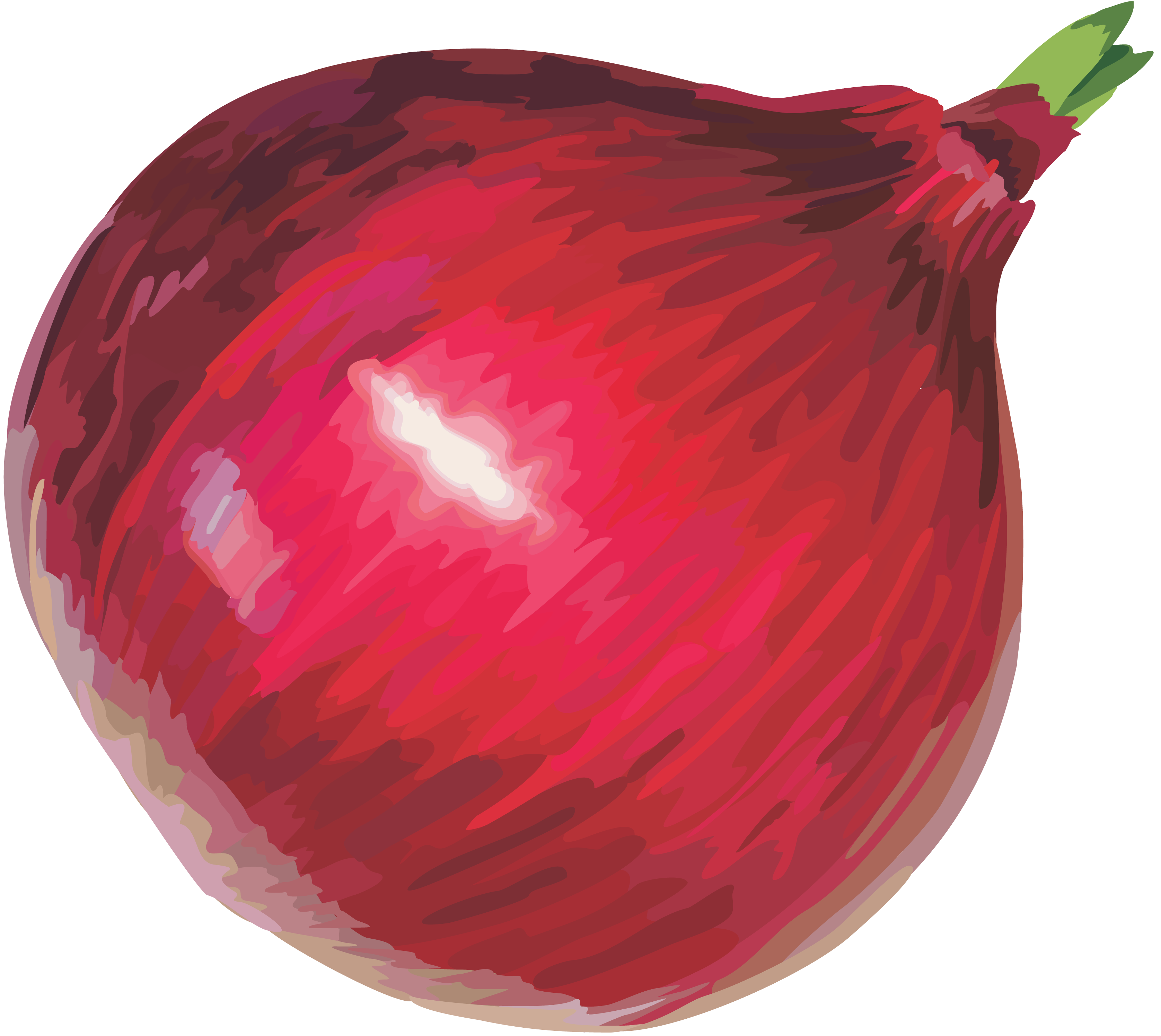 Onion PNG HD Images pngteam.com