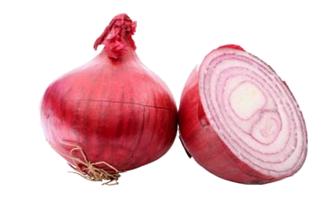 Onion PNG High Definition Photo Image pngteam.com